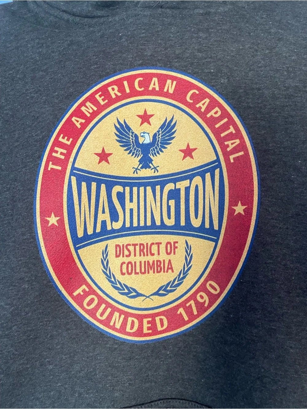 Gray Washington Graphic Hooded Sweatshirt